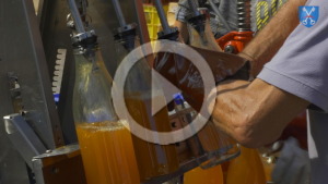 Film du pressage de pommes à Dourgne