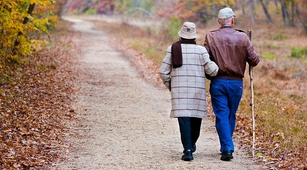 Programme de l’association France Alzheimer