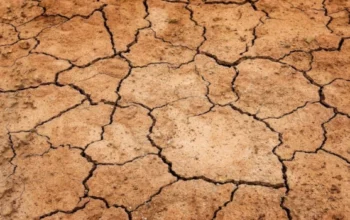 Restrictions en eau