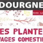 Conférence plantes comestibles le 12 mai