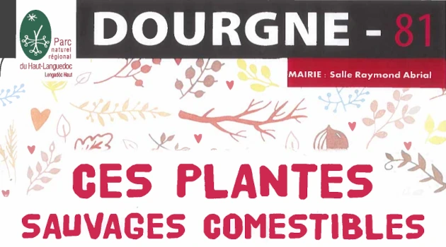 Conférence : Ces plantes sauvages comestibles