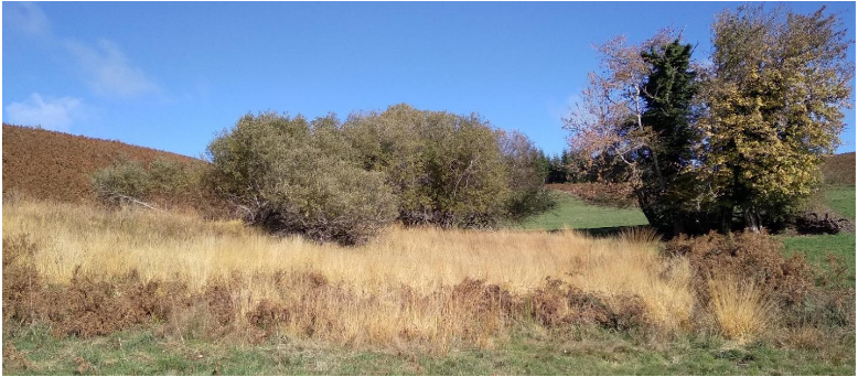 EPAGE Agout – zones humides